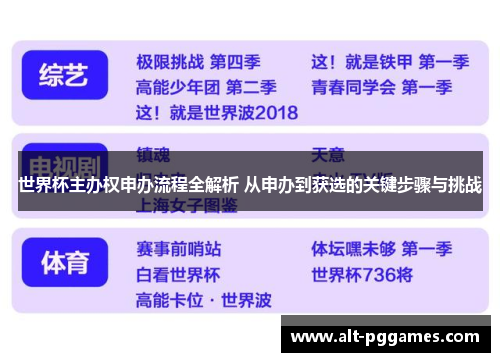 世界杯主办权申办流程全解析 从申办到获选的关键步骤与挑战