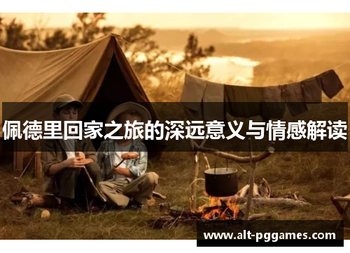 佩德里回家之旅的深远意义与情感解读